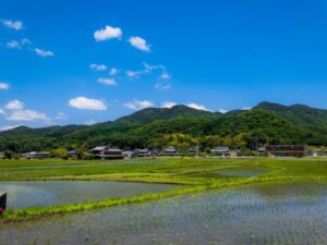 【農地転用の流れと申請の注意点を完全解説】畑や田んぼを宅地・駐車場・店舗用地に変更するには何から始める？4条・5条の違い、許可が必要なケース、農業委員会への申請手続き、必要書類、審査期間、許可が下りない土地の特徴まで初心者にもわかりやすく解説｜売却や有効活用で失敗しないための事前調査と専門家相談のポイントも紹介